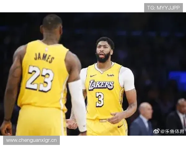 乐鱼体育网页登录指南帮助新手快速掌握登录操作流程