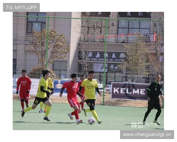 半岛官方体育登录入口常见问题及解决方案全攻略