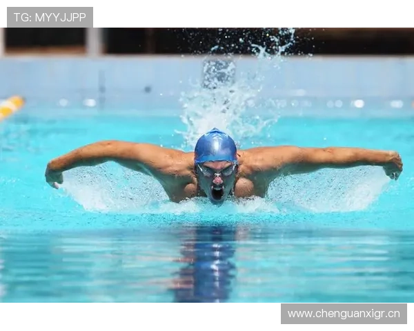 乐博体育全面解析：如何选择最适合你的体育娱乐平台